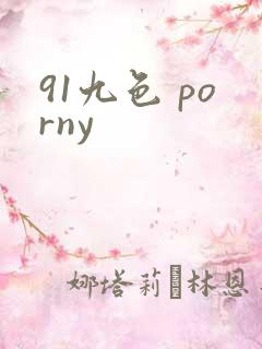 91九色 porny