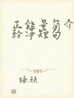 正能量简介文案干净短句