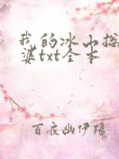 我的冰山总裁老婆txt全本