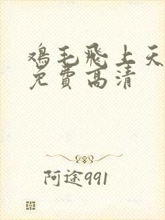 鸡毛飞上天全集免费高清