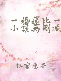 一婚还比一婚高小说无删减版