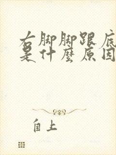 右脚脚跟底部疼是什么原因女性