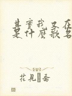 其实我又在等谁是什么歌名