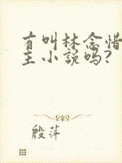 有叫林念惜的女主小说吗?
