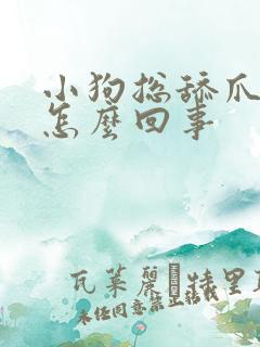 小狗总舔爪子是怎么回事