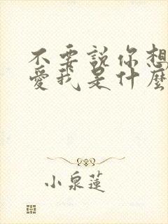 不要说你想我你爱我是什么歌