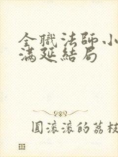 全职法师小说赵满延结局