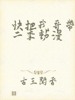 快把我哥带走第二季动漫