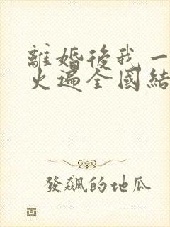 离婚后我一首歌火遍全国结局