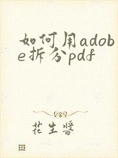 如何用adobe拆分pdf
