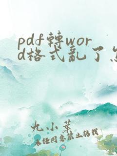 pdf转word格式乱了怎么调整