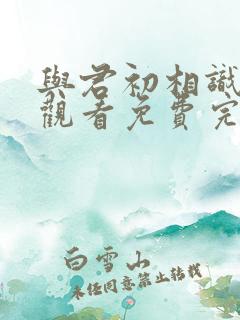与君初相识在线观看免费完整版