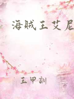 海贼王艾尼路