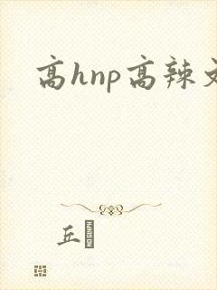 高hnp高辣文