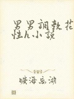 男男调教花蒂双性h小说