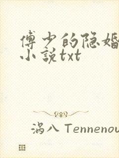 傅少的隐婚甜妻小说txt