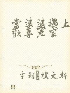当婆婆遇上妈之欢喜冤家