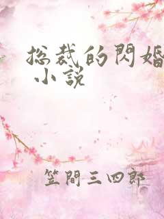 总裁的闪婚甜妻 小说