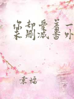 你却爱着一个他未删减番外