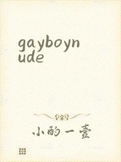 gayboynude
