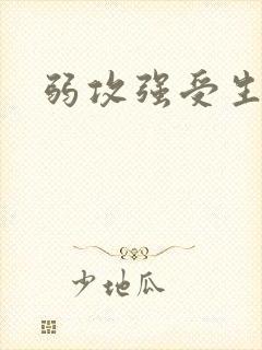 弱攻强受生子文