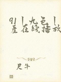 91丨九色丨国产在线播放