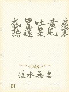 感冒吐黄痰是风热还是风寒