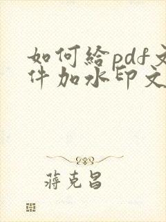 如何给pdf文件加水印文字