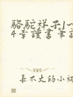 骆驼祥子1~24章读书笔记100字