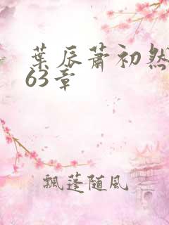 叶辰萧初然2463章