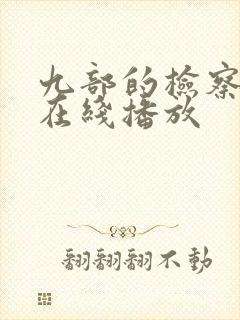 九部的检察官 在线播放
