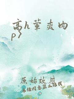 高h荤爽肉〈np〉