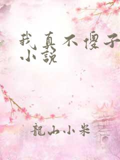 我真不傻子叶凡小说