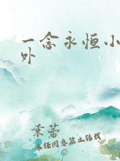 一念永恒小说番外