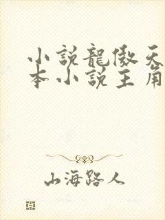 小说龙傲天是哪本小说主角