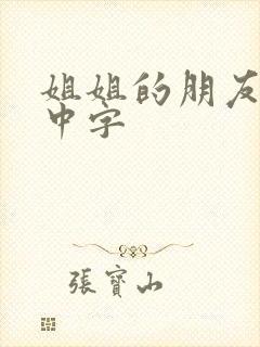 姐姐的朋友韩语中字