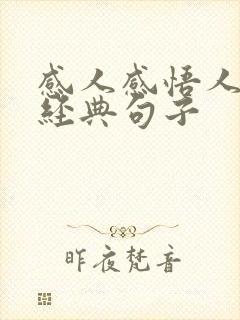 感人感悟人生的经典句子