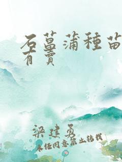 石菖蒲种苗哪里有卖