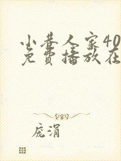 小巷人家40集免费播放在线观看