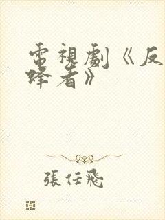 电视剧《反诈猎蜂者》