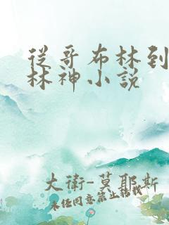 从哥布林到哥不林神小说