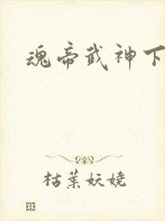 魂帝武神下载