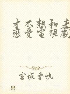 才不想和老板谈恋爱电视剧免费