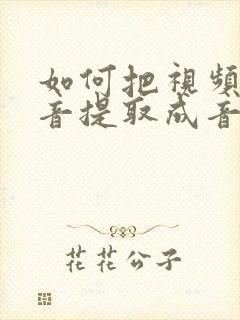 如何把视频的声音提取成音频