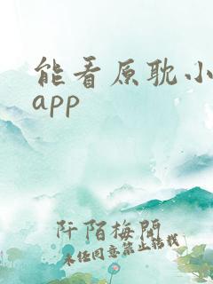 能看原耽小说的app