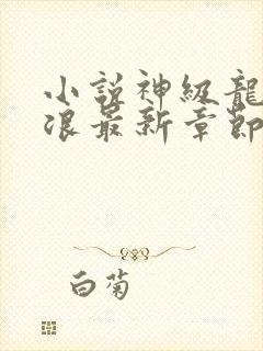 小说神级龙卫沈浪最新章节列表列表