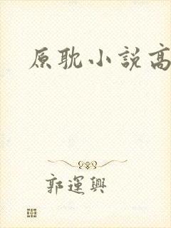 原耽小说高干文