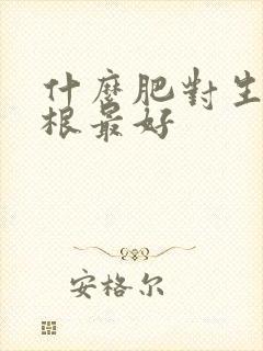 什么肥对生根养根最好