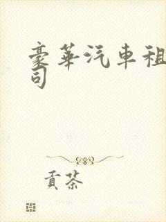 豪华汽车租赁公司