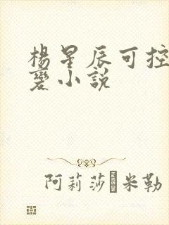 杨星辰可控核聚变小说